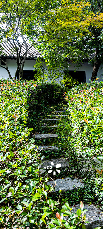 安徽滁州琅琊山同乐园公园里的树木植物和小路曲径通幽图片素材