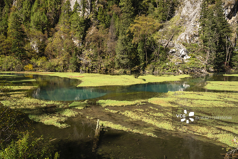 九寨沟天鹅海图片素材
