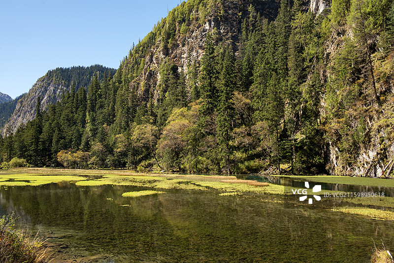 九寨沟天鹅海图片素材