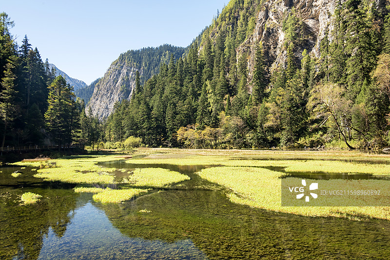 九寨沟天鹅海图片素材