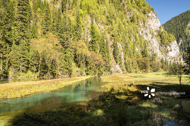 九寨沟天鹅海图片素材