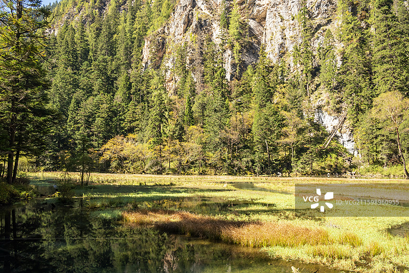 九寨沟天鹅海图片素材