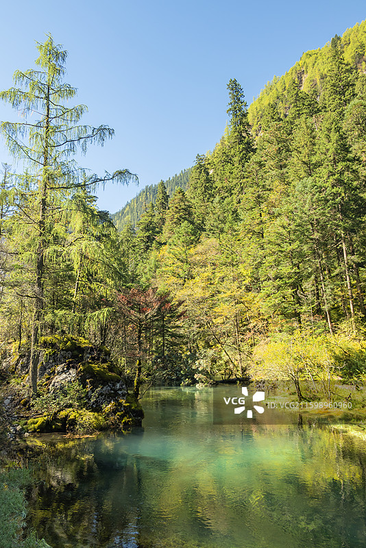 九寨沟天鹅海图片素材