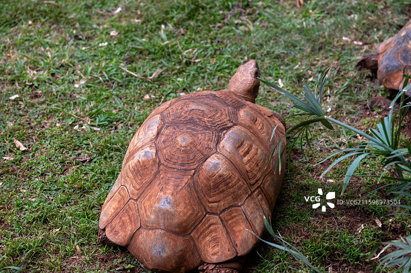 肯尼亚国家博物馆图片素材