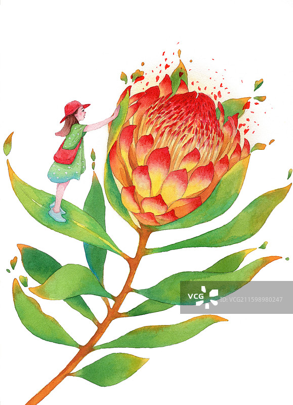 站在花上的女孩水彩插画图片素材