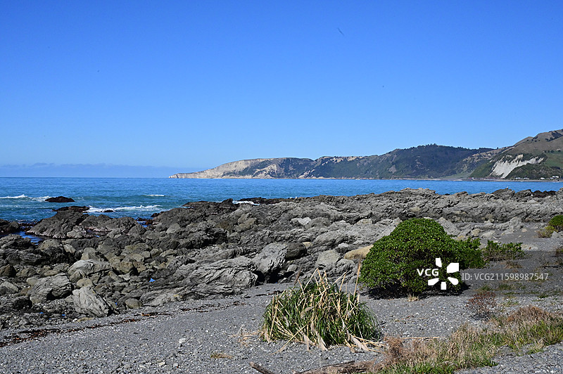 新西兰凯库拉 Kaikura图片素材