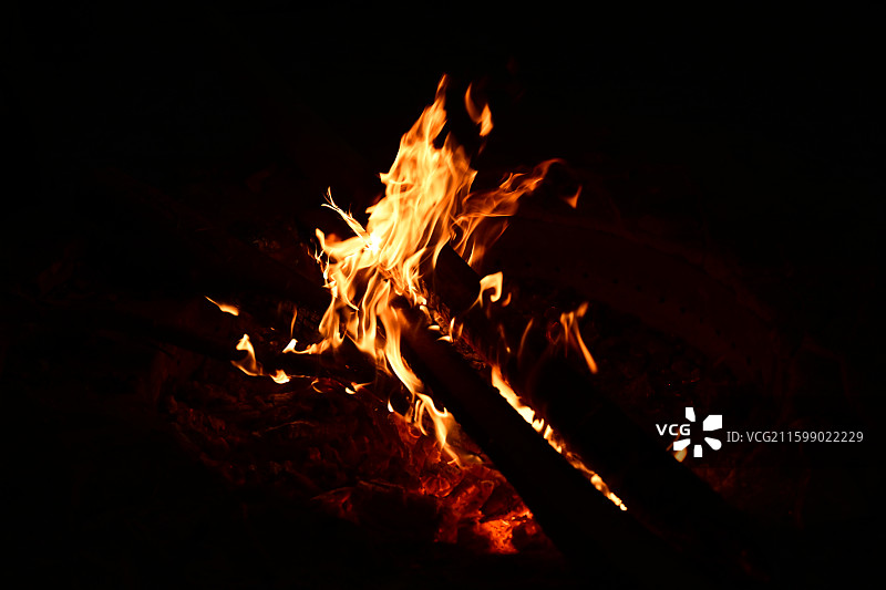 肯尼亚马赛马拉国家公园图片素材