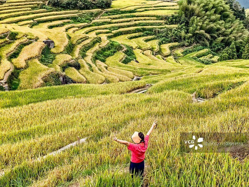 云和秋韵（拍摄于丽水云和梯田）图片素材