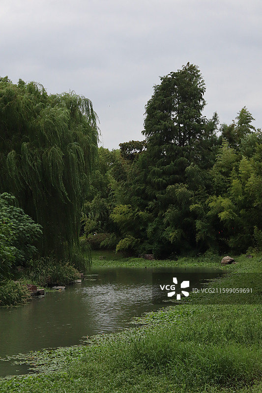 上海政法学院校园环境图片素材