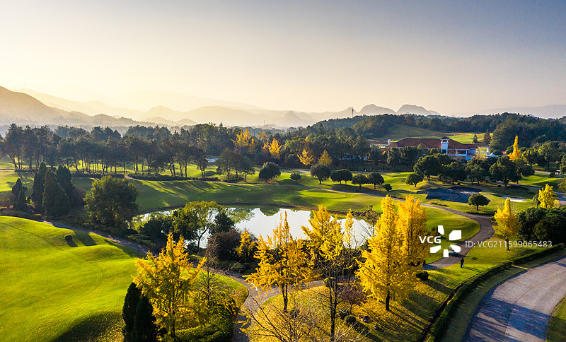 广西桂林兴安县乐满地 银杏树叶图片素材
