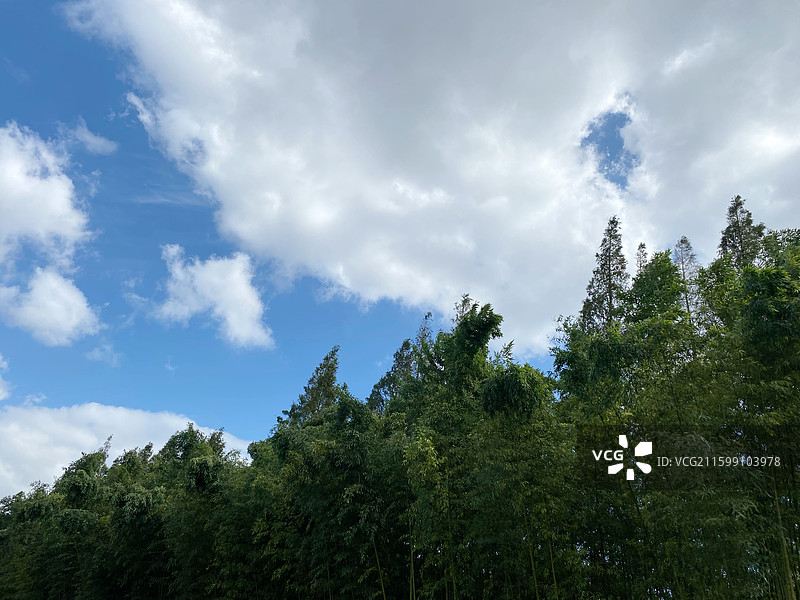 上海龙华烈士陵园秋天的景色图片素材