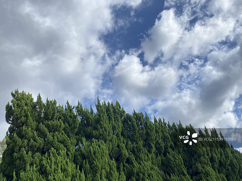 上海龙华烈士陵园秋天的景色图片素材