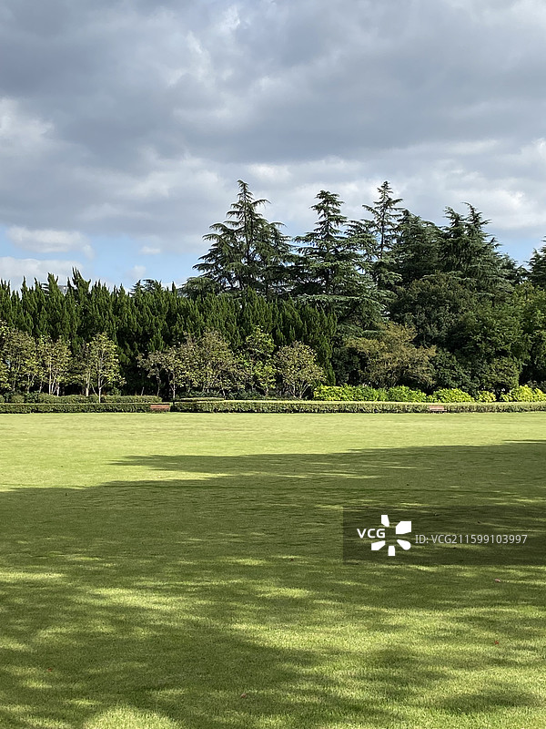 上海龙华烈士陵园秋天的景色图片素材