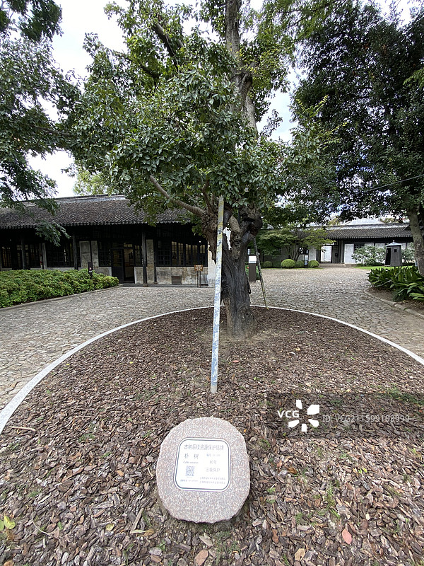 上海龙华烈士陵园秋天的景色图片素材