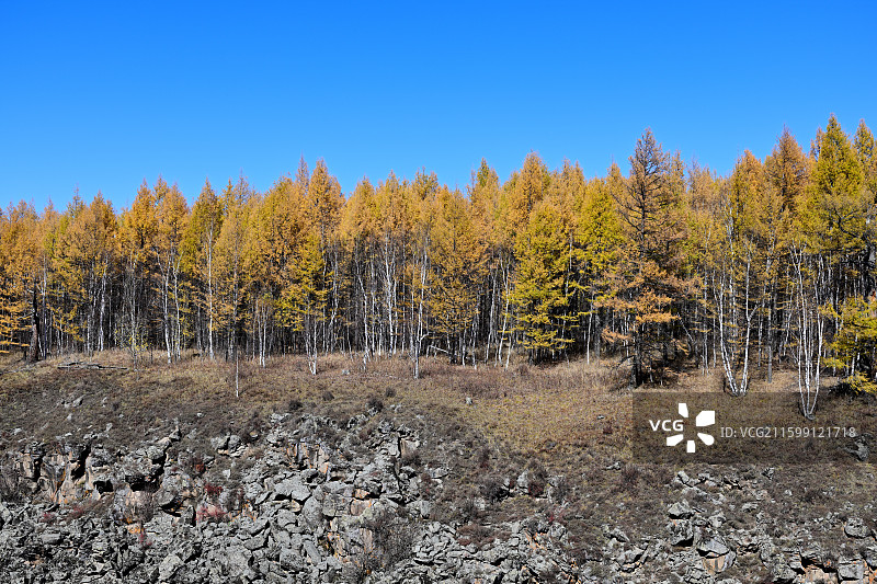 天空、松林和岩石，阿尔山大峡谷，阿尔山国家森林公园图片素材