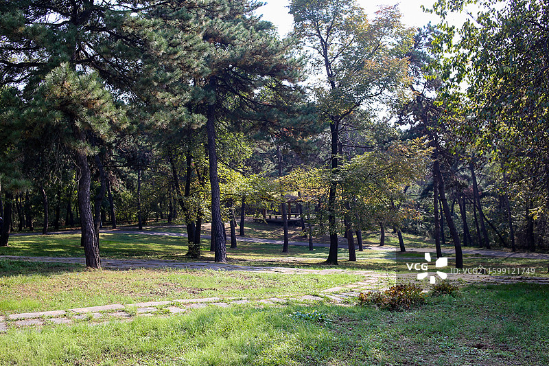 深秋的沈阳世博园风光图片素材