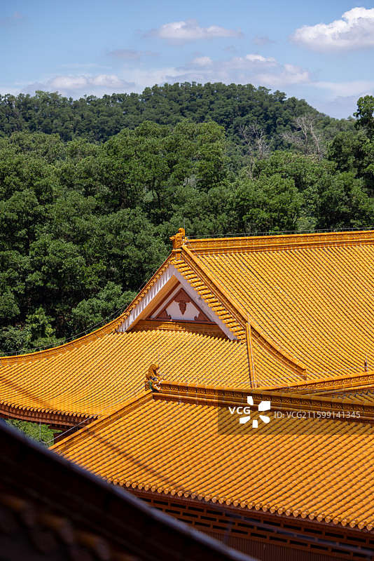 深圳仙湖植物园弘法寺图片素材