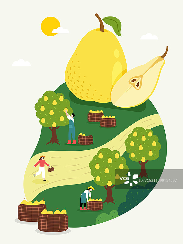 农民，农业，农田，收获，果园，梨图片素材