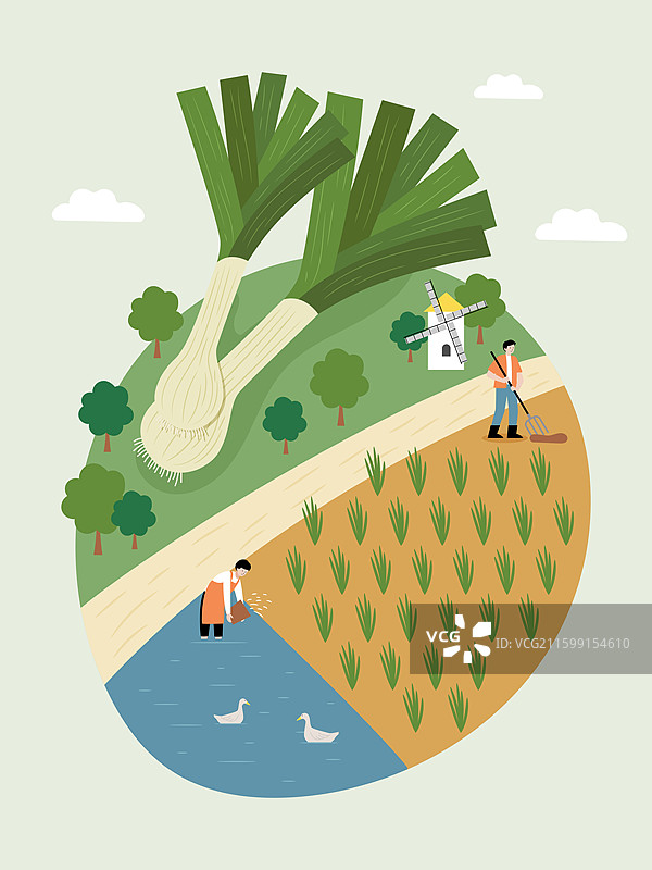 农民，农业，农田，蔬菜，收获，菜园，大葱图片素材