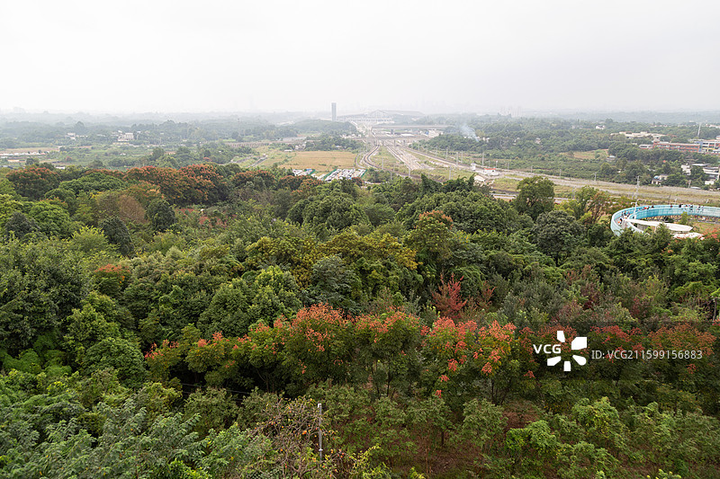 四川成都龙泉山森林公园高空栈道图片素材