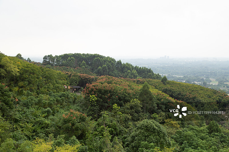 四川成都龙泉山森林公园山林景色图片素材