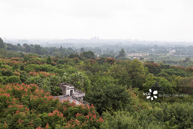 四川成都龙泉山森林公园山林景色图片素材