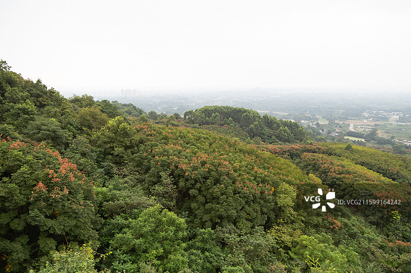 四川成都龙泉山森林公园山林景色图片素材