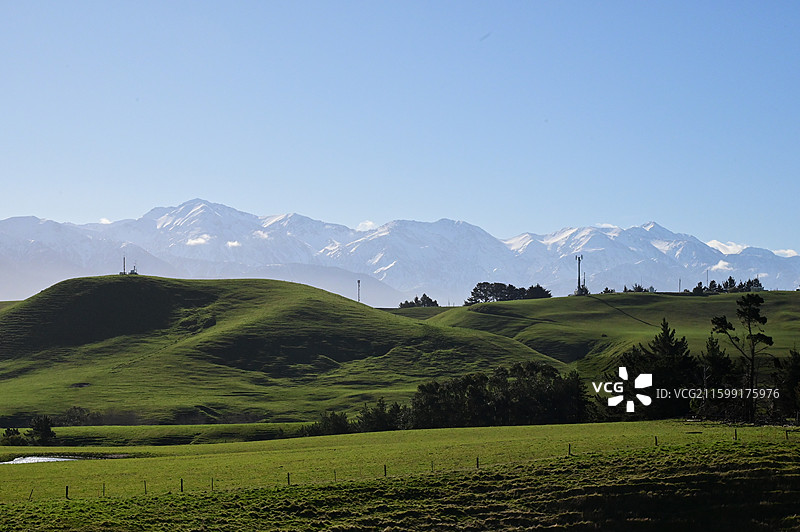 新西兰凯库拉 Kaikura图片素材