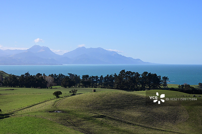 新西兰凯库拉 Kaikura图片素材