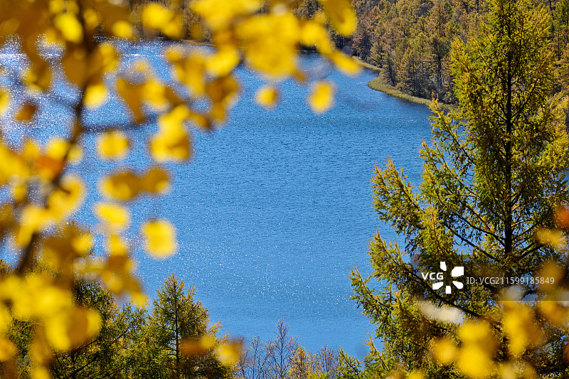 驼峰岭天池，夏日晴朗蓝天，秋景，内蒙古呼伦贝尔图片素材
