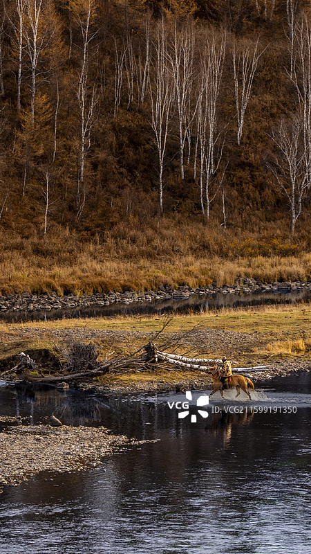 内蒙阿尔山秋景图片素材