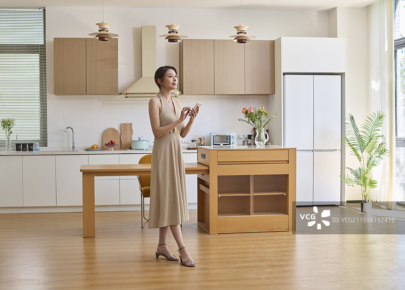 优雅女性和智能家居图片素材