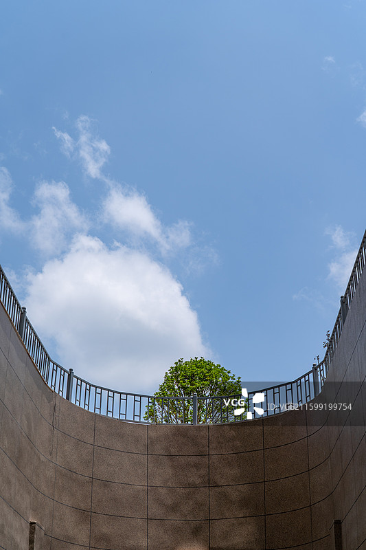 天空下的顶楼的一棵绿树图片素材