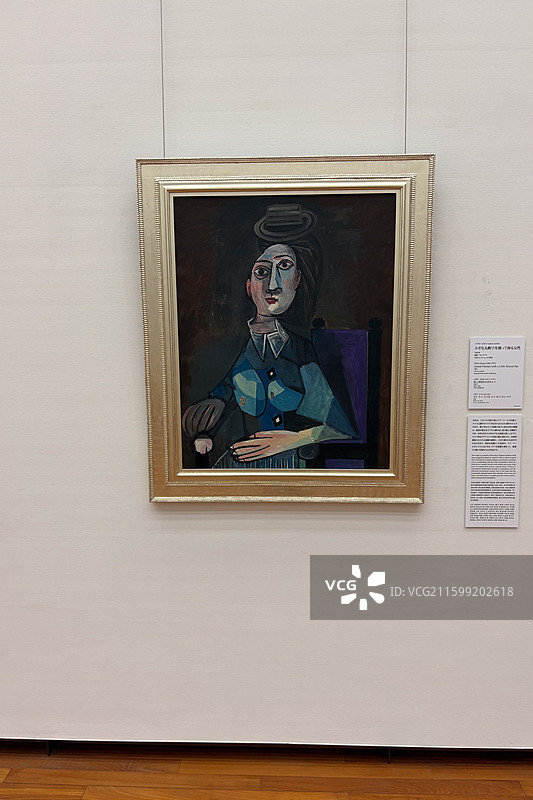 日本东京上野国立美术馆图片素材