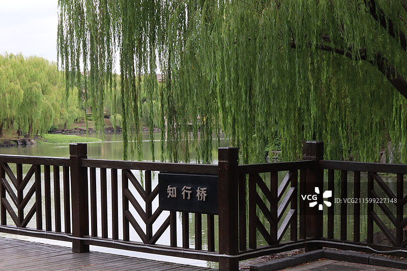 上海政法学院校园环境图片素材