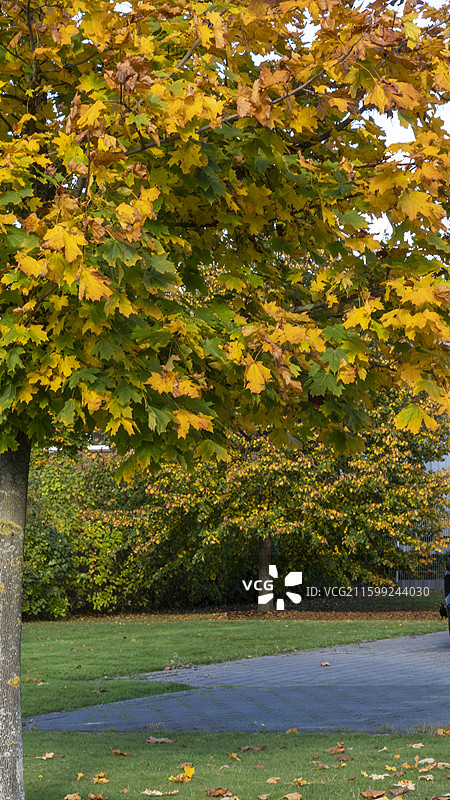 德国北部伦茨堡小镇的秋天景色图片素材