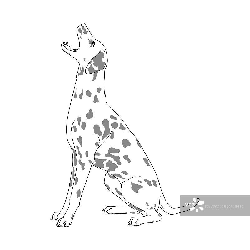 斑点狗扁平线条艺术图片素材