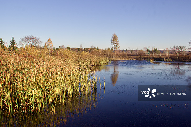 远山 树林 湖泊 环境保护 自然 风光图片素材