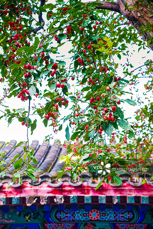 纪晓岚故居实拍图片素材