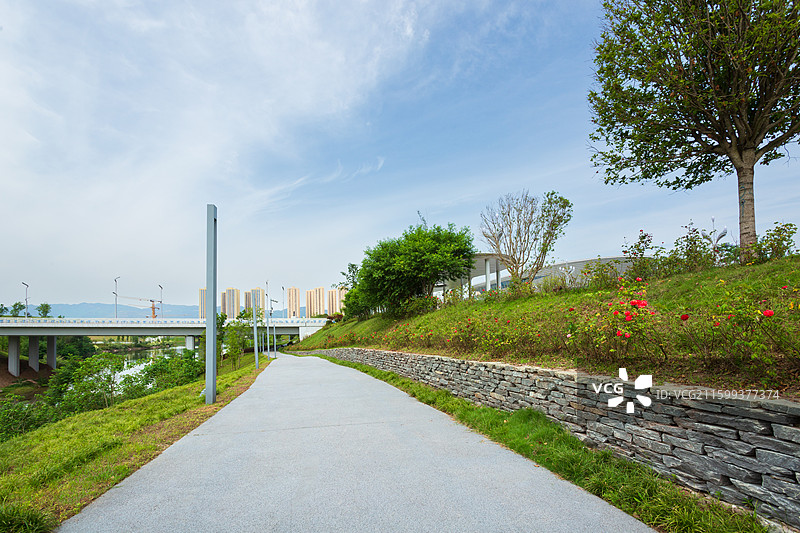 高新区凤鸣湖公园里的步行道路图片素材