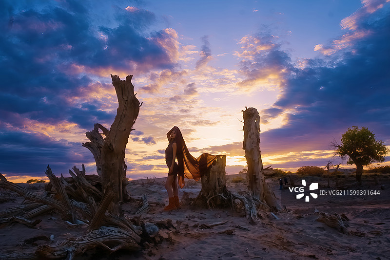 闯入金色童话！额济纳胡杨林的日落晚霞风光逆光人像美到窒息！！图片素材