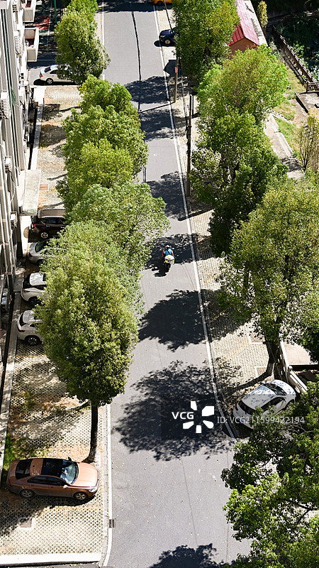 摩托车在被大树包围的小公路上行驶图片素材