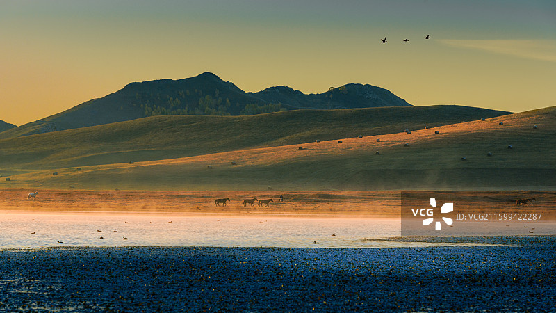 乌兰巴托草原的日出秋色图片素材