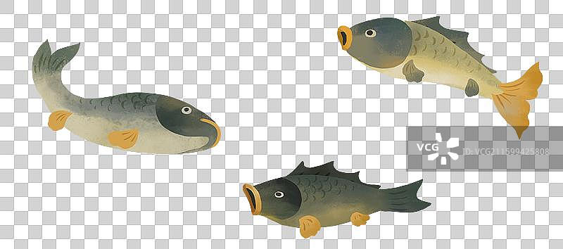 小寒节气插画冬捕插画元素鲤鱼图片素材