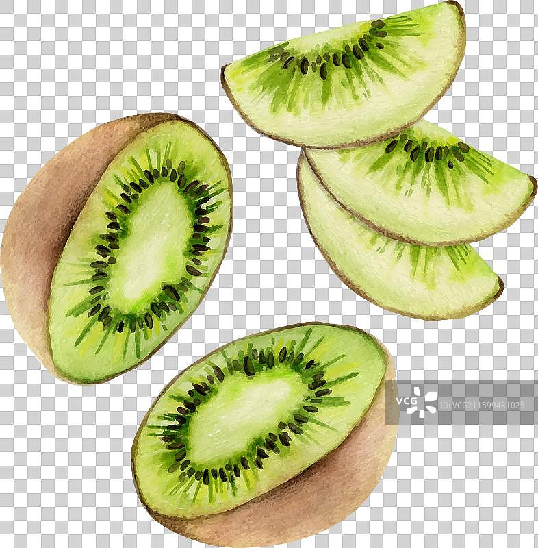 手绘水彩绿色猕猴桃，适合减肥图片素材