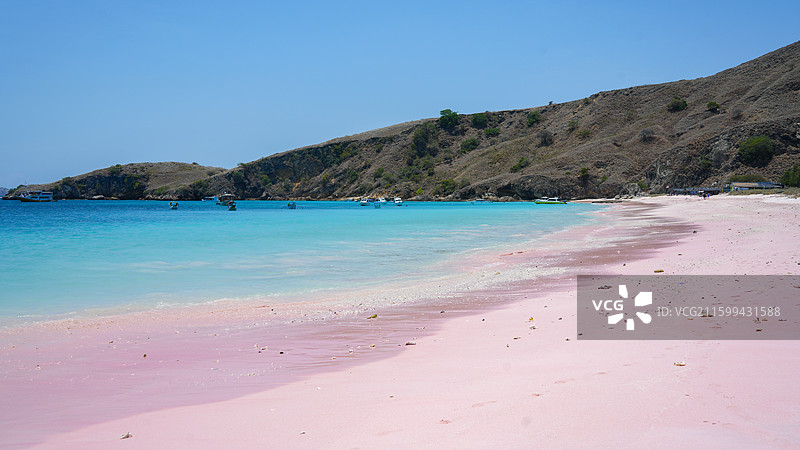 蓝天映衬下的科莫多粉色沙滩景色图片素材