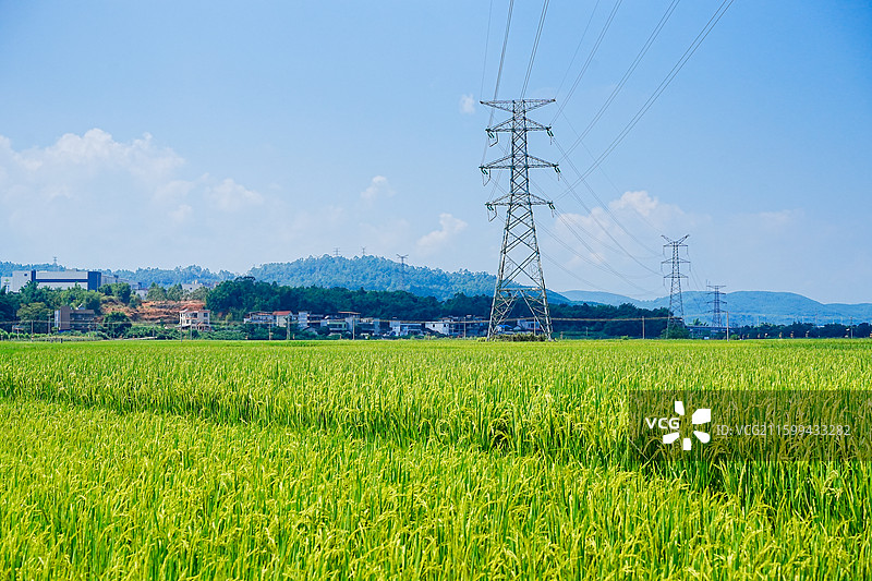 韶关市曲江区马坝美丽乡村 田园风光 稻田风光图片素材