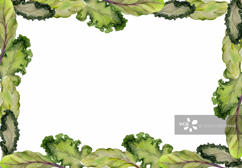 手绘水彩风绿色沙拉，菠菜羽衣甘蓝图片素材