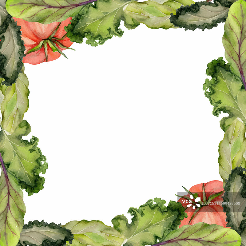 手绘水彩风格的绿色沙拉，包含菠菜和羽衣甘蓝图片素材