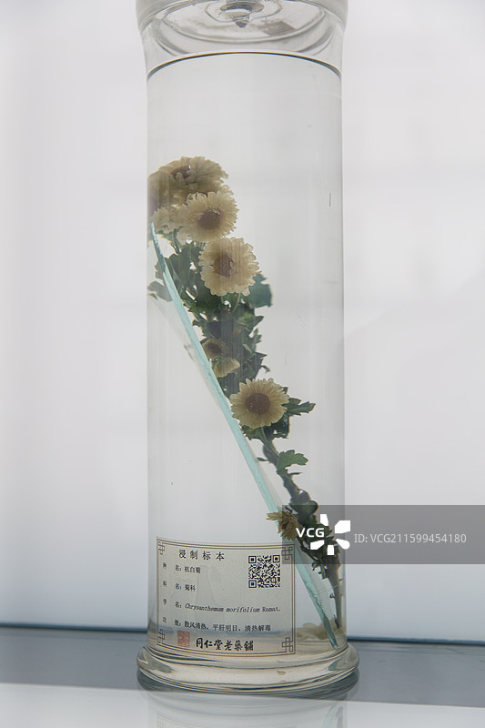 中国国家博物馆智慧之光中医药文化展图片素材